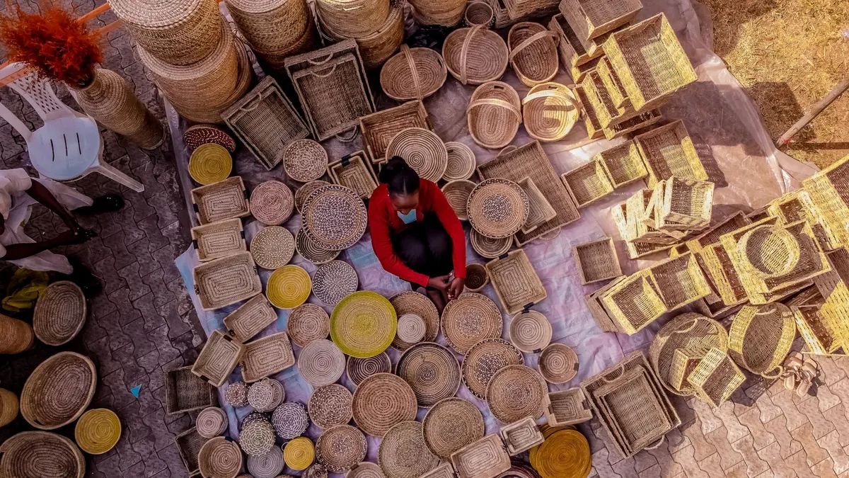 Basket Weaving Materials Compared: Reed vs. Willow vs. Cane